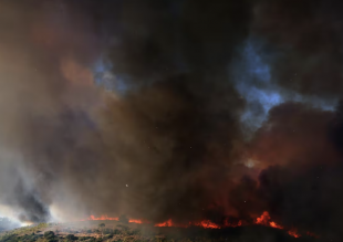 incendi in grecia 5