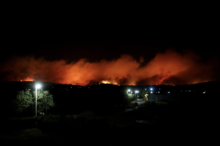 incendi in grecia 7