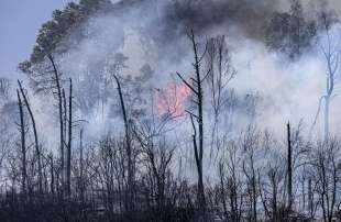 incendio a roma 5