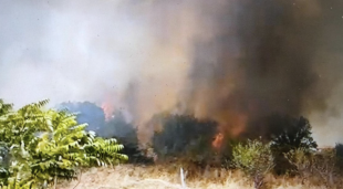 incendio a roma torre spaccata 1