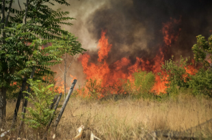 incendio a roma torre spaccata 3