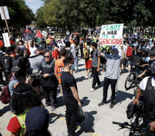 manifestazione pro palestina a chicago