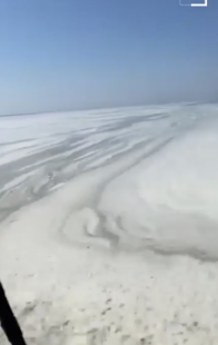 mucillagine nel mar adriatico 5