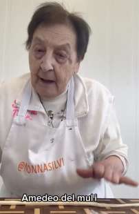 nonna silvi silvana bini 4