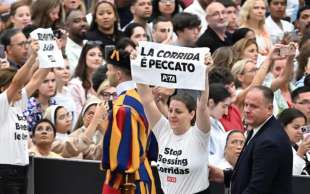 PROTESTE CONTRO LA CORRIDA - UDIENZA PAPA FRANCESCO