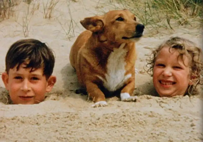 CARLO E ANNA D INGHILTERRA CON IL CORGI DELLA REGINA 