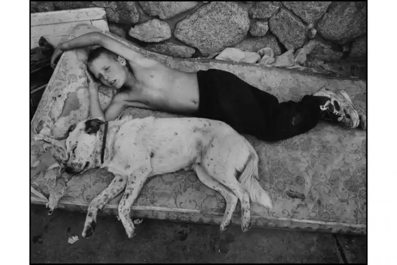 MARY ELLEN MARK ANIMALI E CIRCHI 