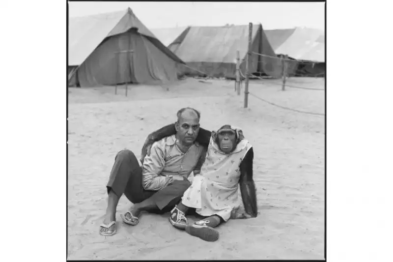 MARY ELLEN MARK ANIMALI E CIRCHI 