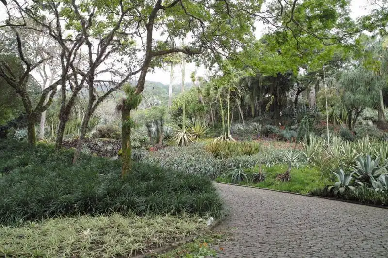 garden of the si??tio roberto burle marx, rio de janeiro, brazil