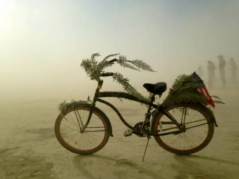 burning man 2014 128