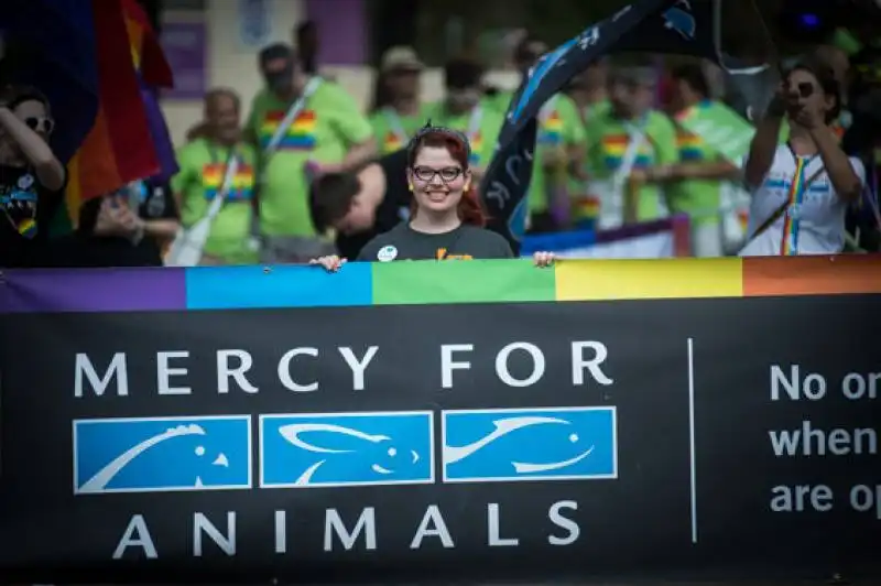 dallas pride parade   57