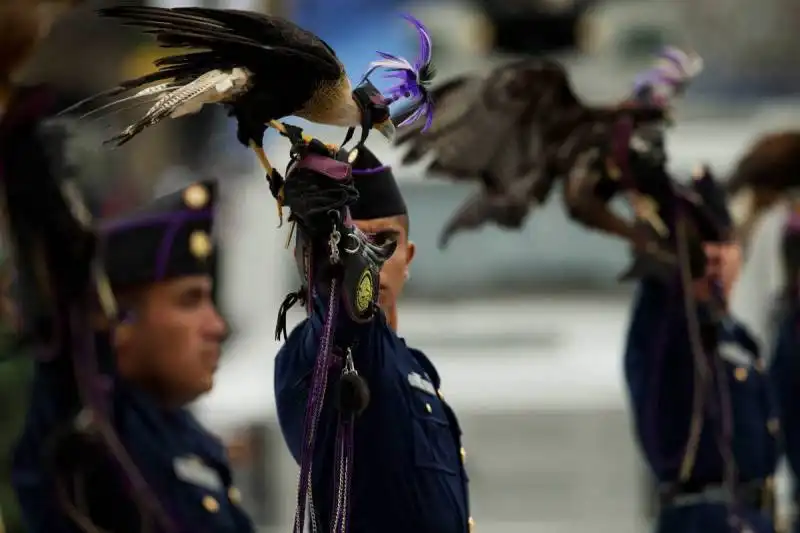 foto time 22 settembre  2014   falconiere in messico  1