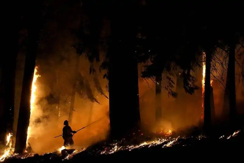 foto time 22 settembre  2014   pompiere prova a domare un incendio in california   25