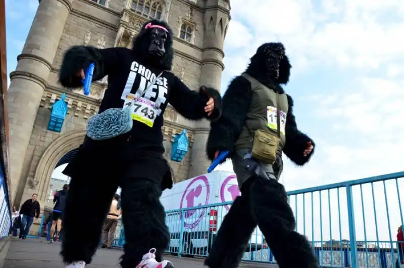 gorilla run a londra