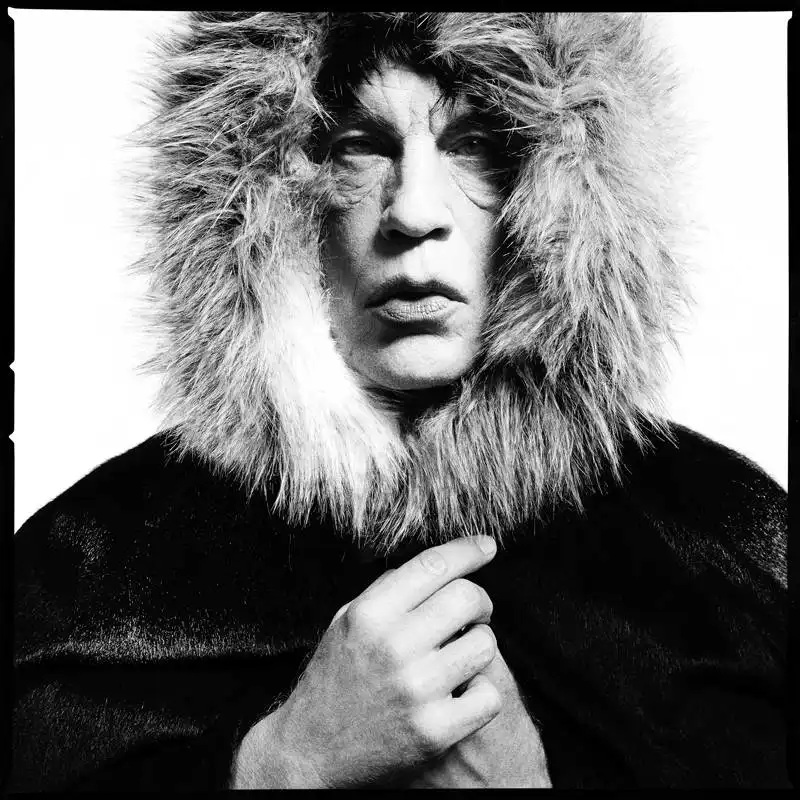 jonh malkovich interpreta  david bailey : mick jagger 