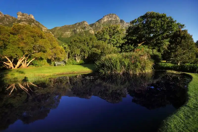 kirstenbosch botanical garden, cape town, south africa