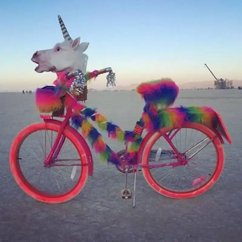 burning man 2015  17