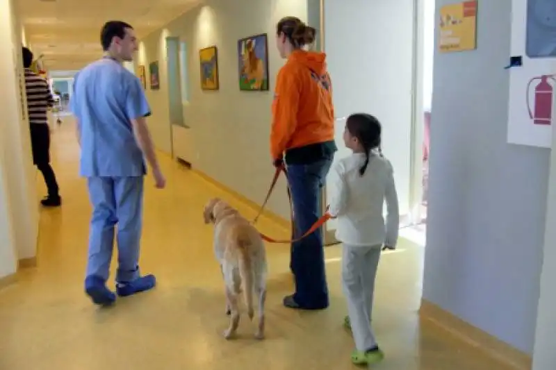 cane ospedale 2