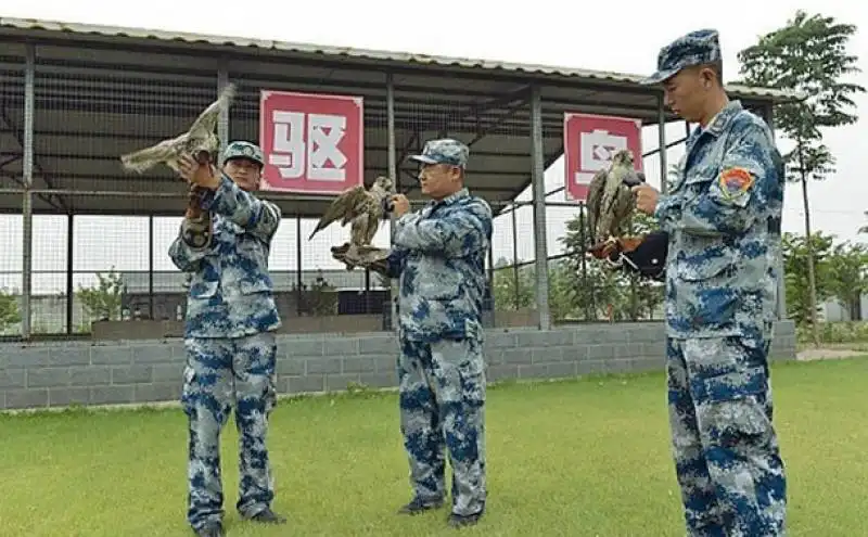 cina   parata militare  3