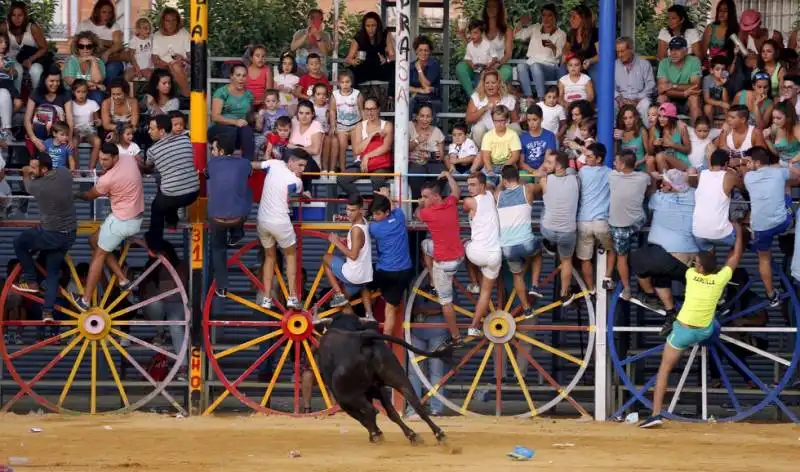 corrida siviglia