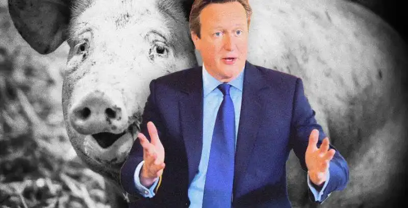 david cameron piggate  5