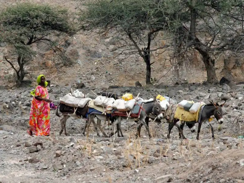 djibouti