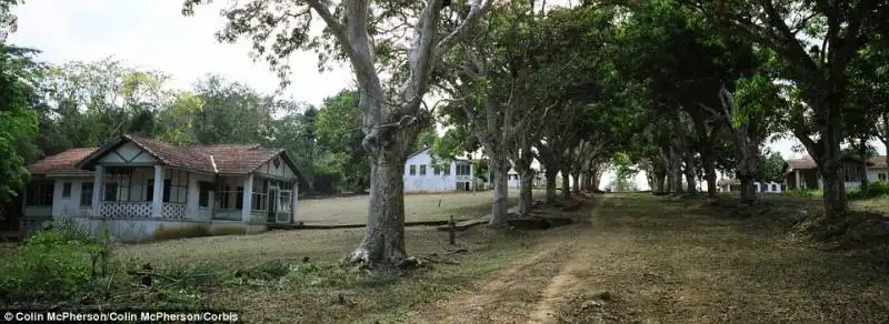 fordlandia   brasile