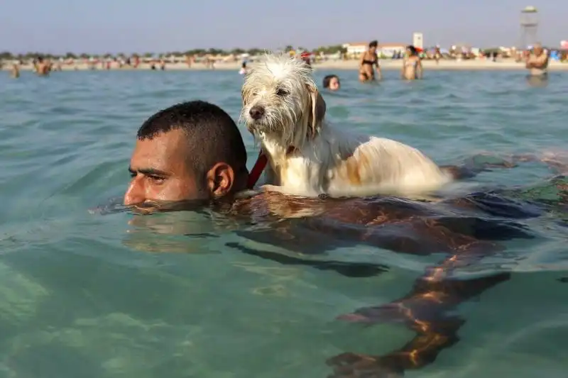 il cane lucky nuota con il padrone in libano