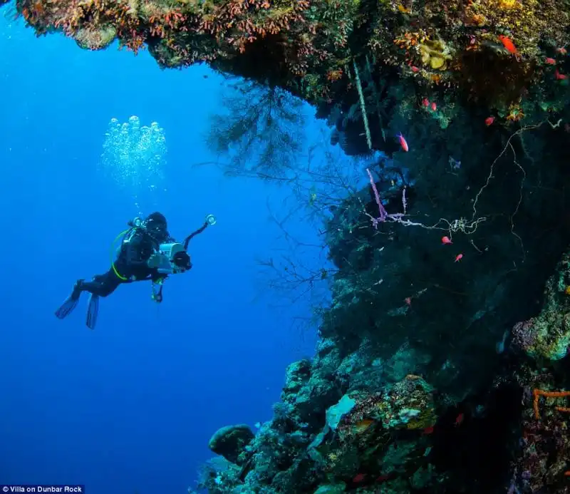 immersioni a guanaja reef