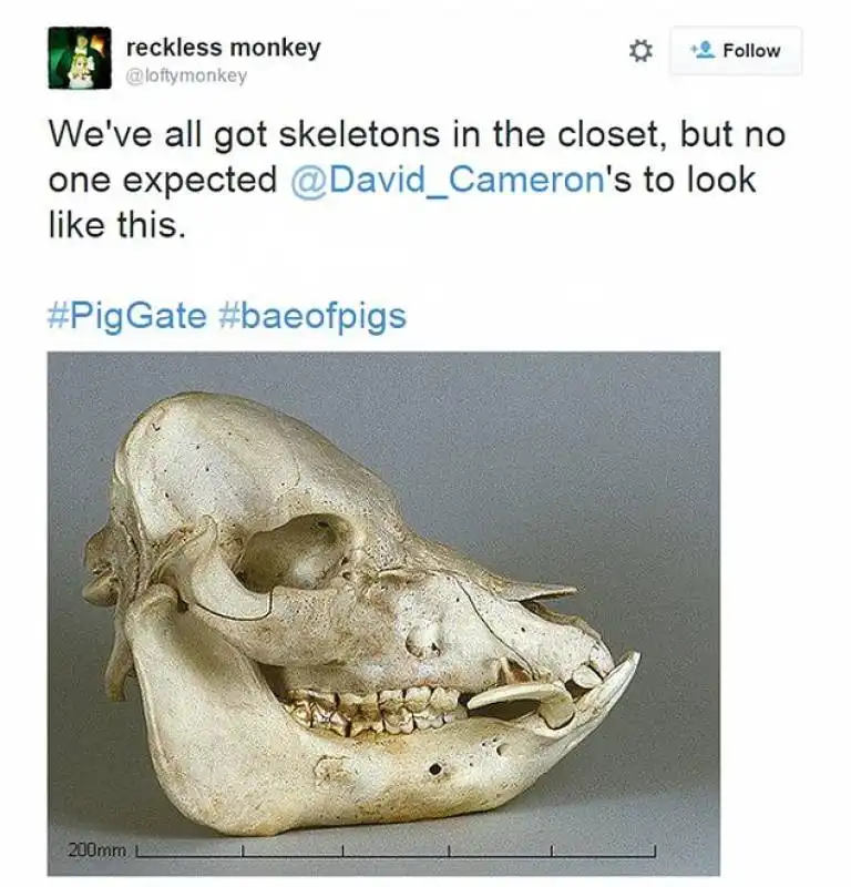 lo scheletro nell armadio di david cameron