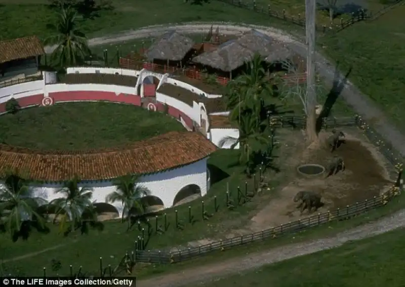 lo zoo di escobar con elefanti e la plaza de toros