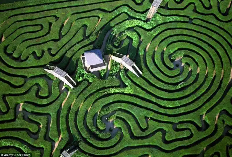 longleat maze wiltshire