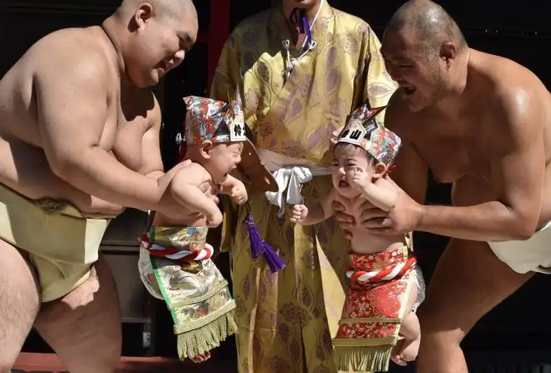 lottatori di sumo a tokyo