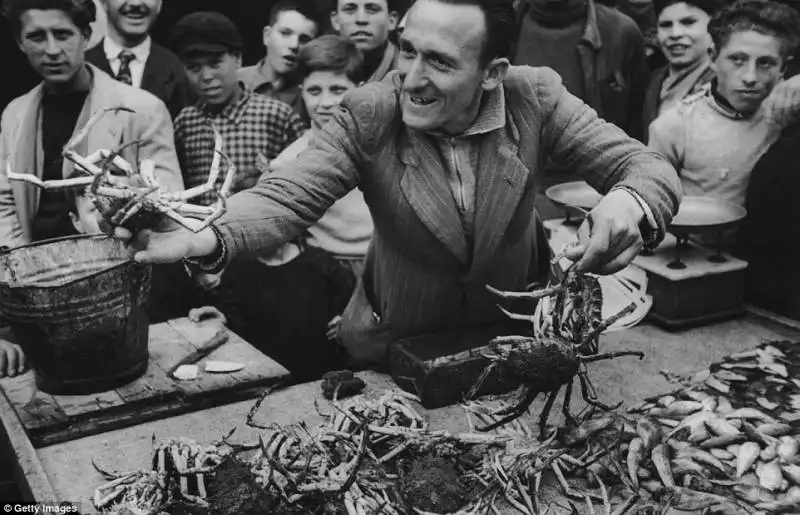 mercato del pesce   1950