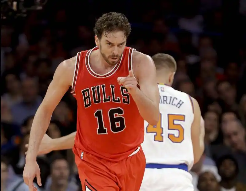 PAU GASOL 3