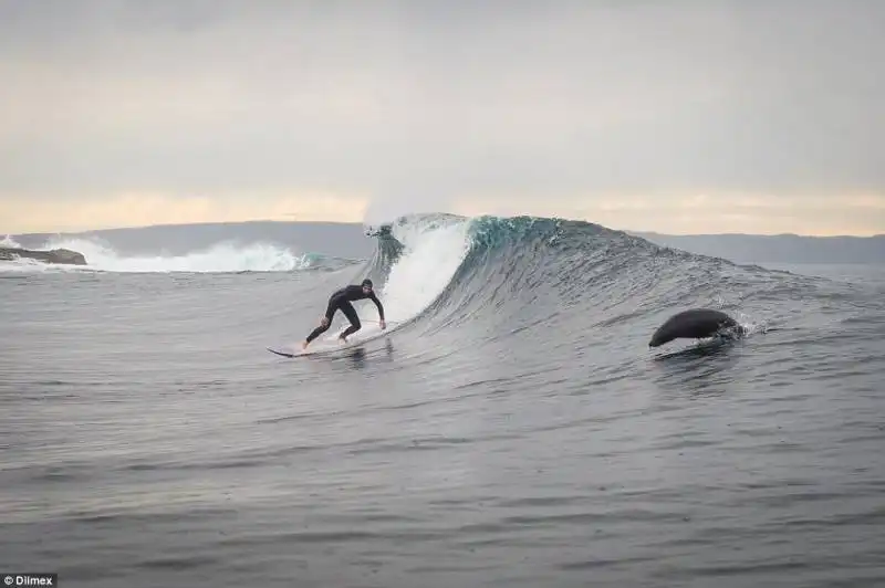 russell quinn e la foca 9