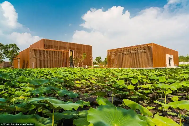 tempio buddista nello jiangsu   cina