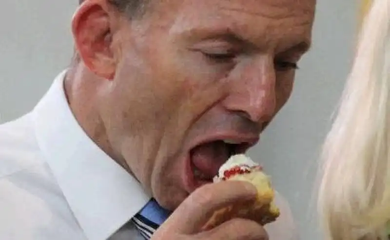 tony  abbott   