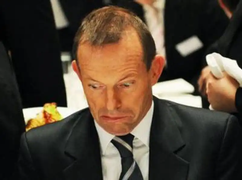 tony abbott 