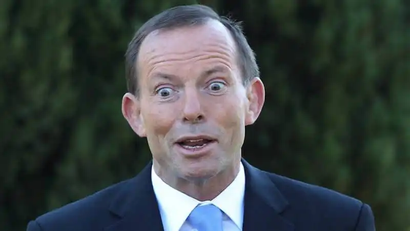 tony abbott