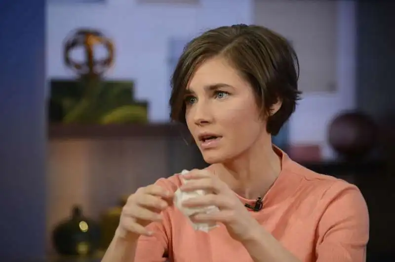 AMANDA KNOX 6