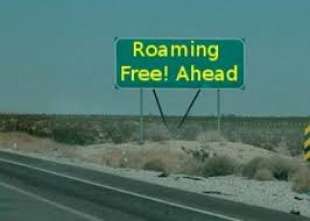 FREE ROAMING