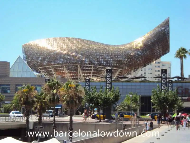 golden fish  barcellona