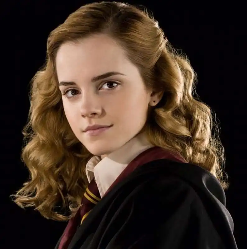 HERMIONE HARRY POTTER