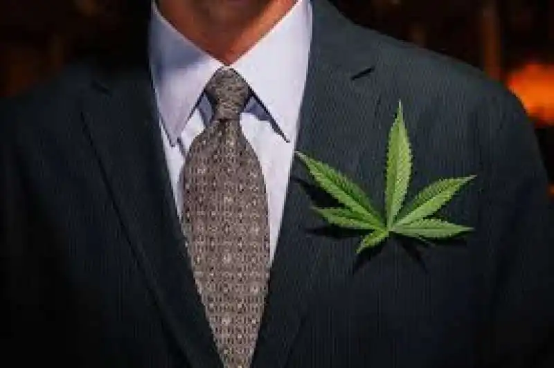 SOMMELIER CANNABIS