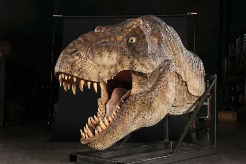 T REX CRANIO