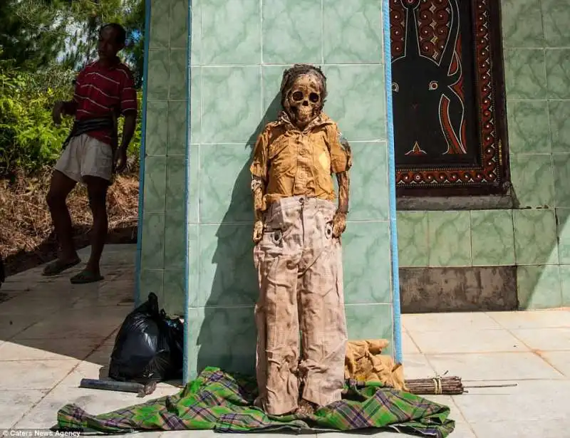 festival manene in indonesia