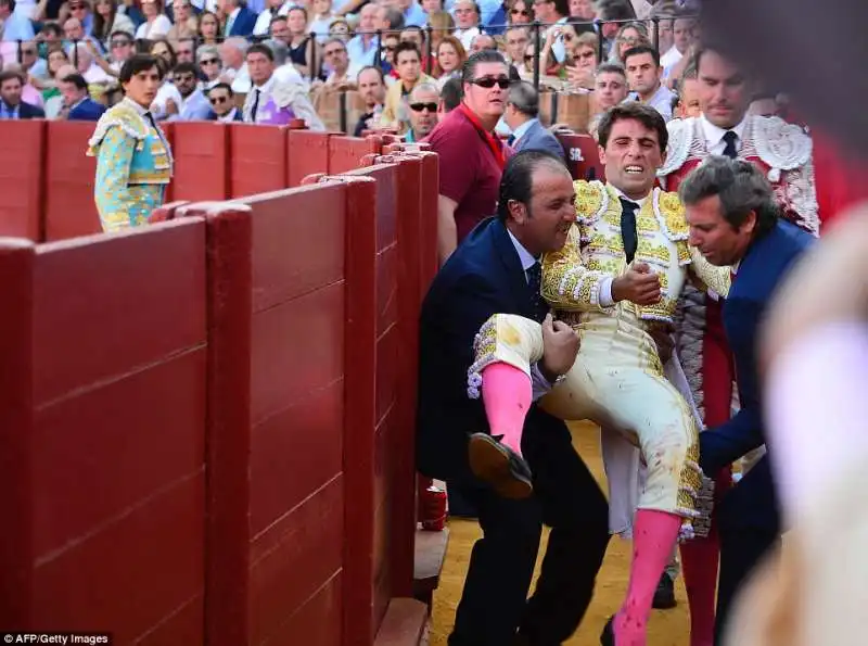 il torero serna finisce in ospedale