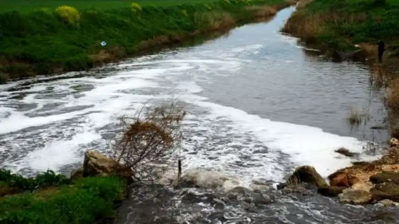 inquinamento  da  pfas in veneto