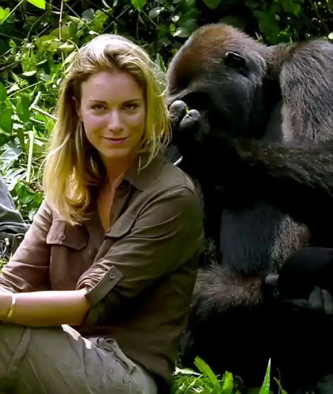 la aspinall in africa con i gorilla